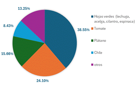 Gráfico, Gráfico circular

Descripción generada automáticamente